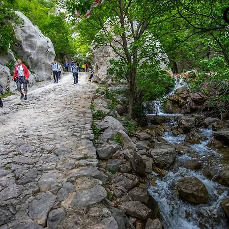 Cvita * Starigrad Paklenica